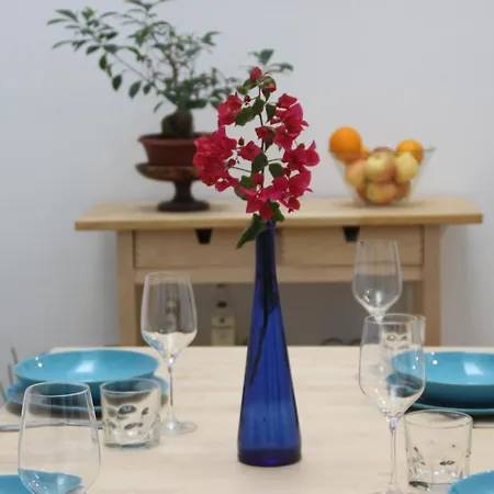 Celia House Apartment